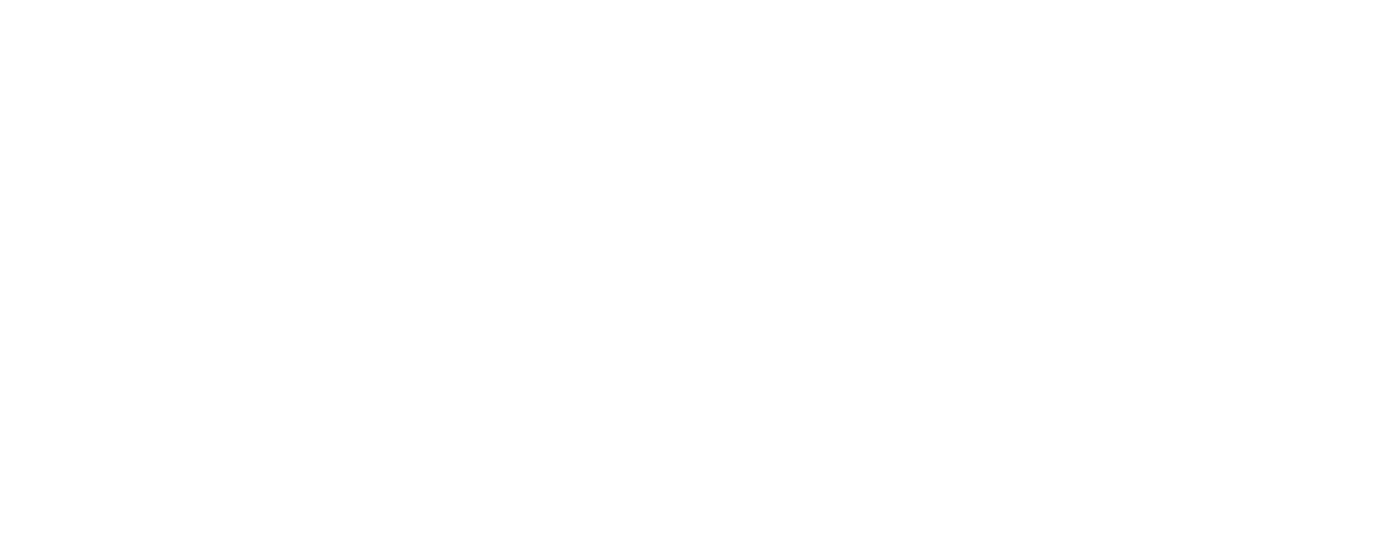 Navigo CTS Logo